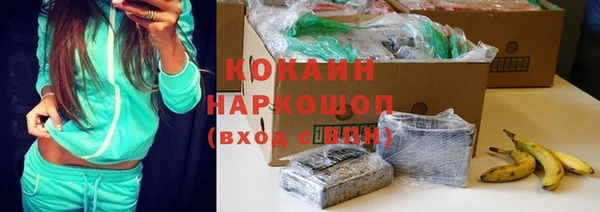 кокс Алексин